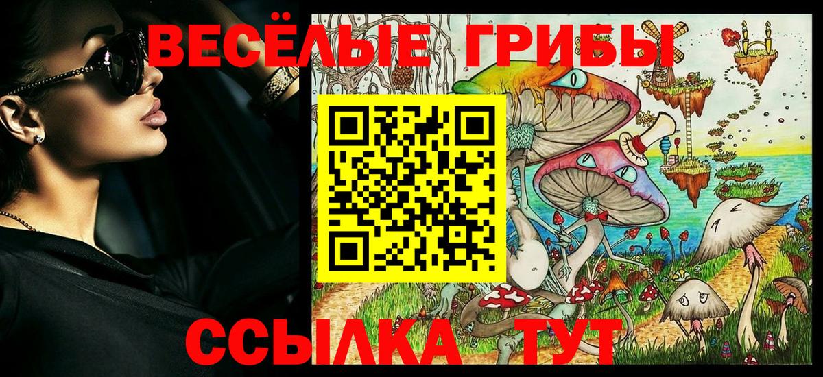 Долгопрудный  Галлюциногенные грибы MAGIC MUSHROOMS  Вход с VPN 