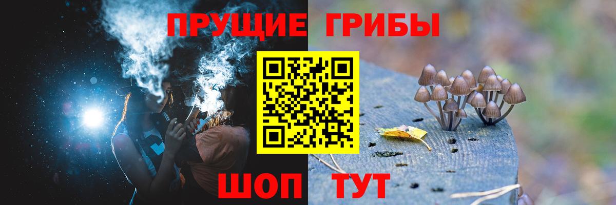 Галлюциногенные грибы Cubensis Долгопрудный